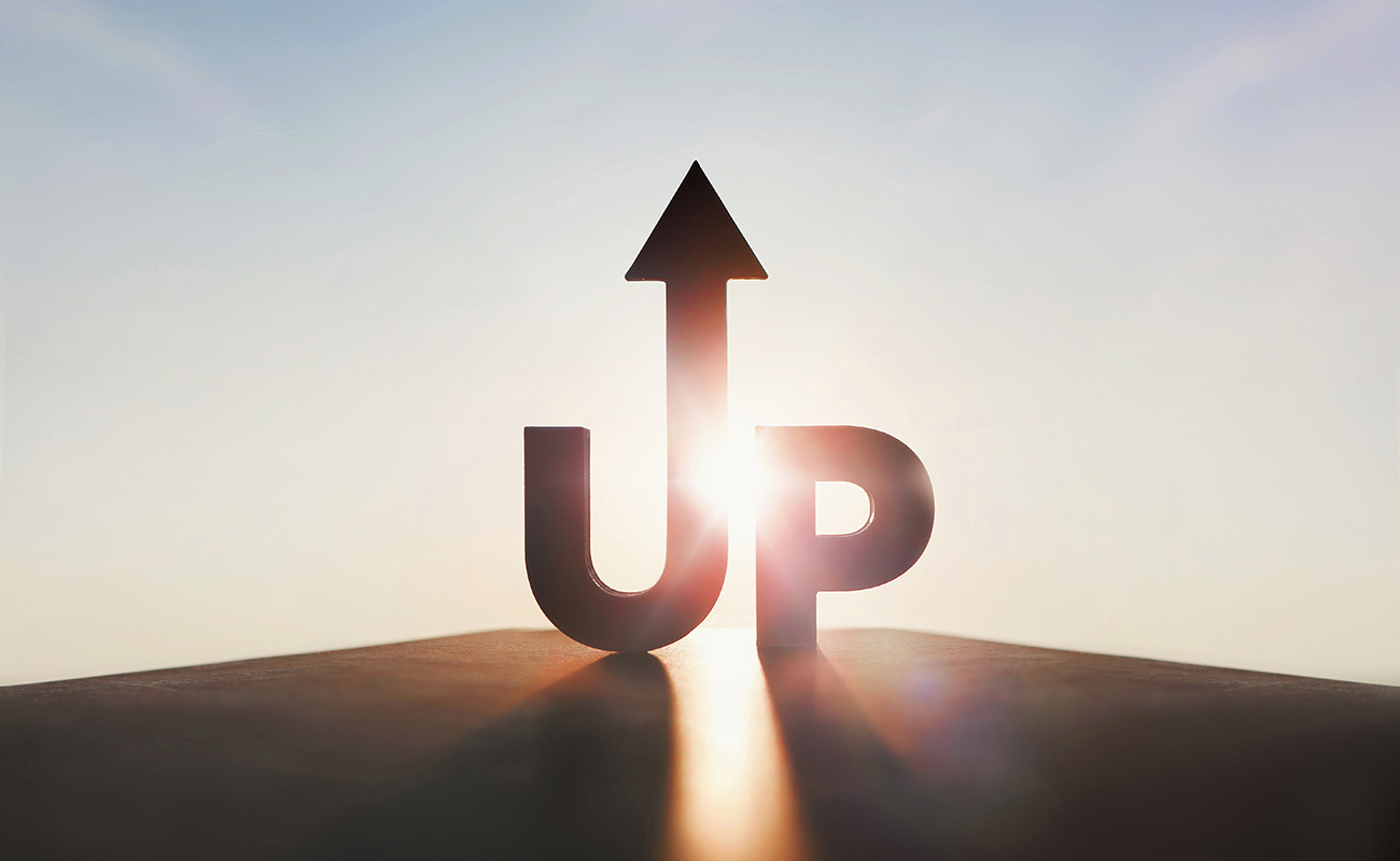 변화를 앞둔<br> 양지