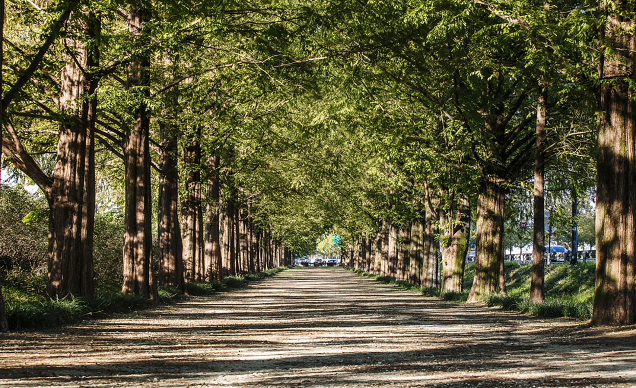 공원을 품은<br> 쾌적한 삶